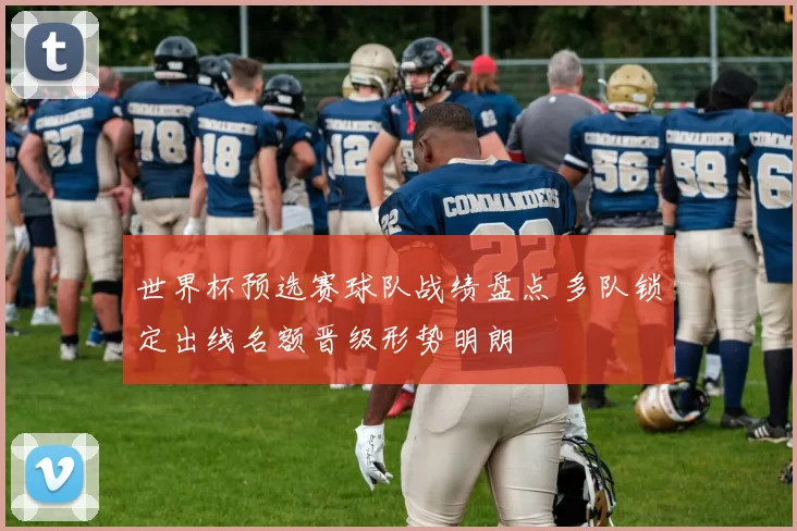 世界杯预选赛球队战绩盘点 多队锁定出线名额晋级形势明朗