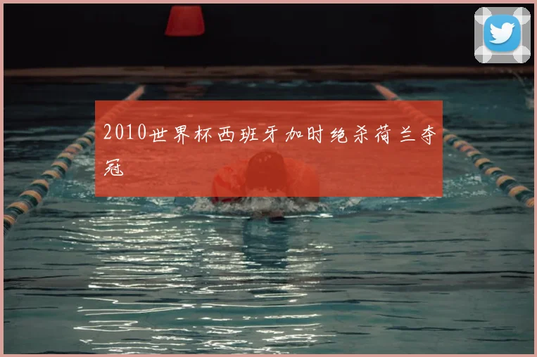 2010世界杯西班牙加时绝杀荷兰夺冠