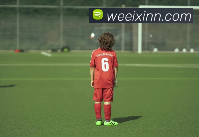 奇异果体育 - 奇异果体育(中国)官方网站平台生态图